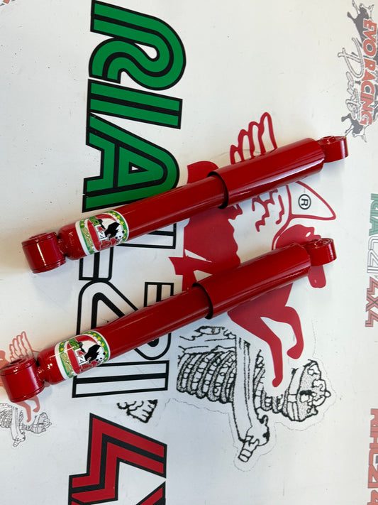 Ammortizzatori posteriori panda 2wd serie 169 da 2003 a 2013