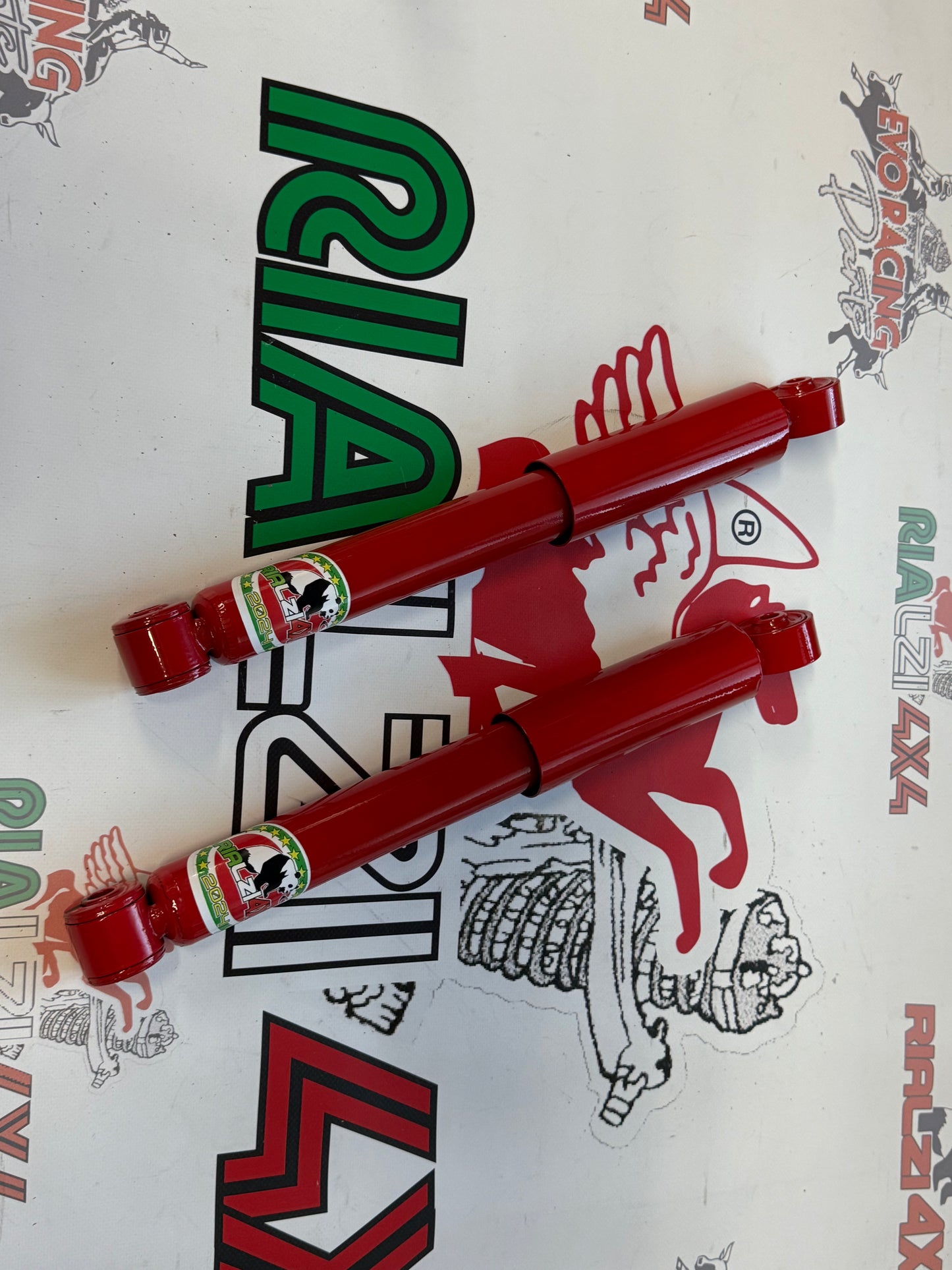 Ammortizzatori posteriori panda 4x4 / cross serie 169 da 2003 a 2013