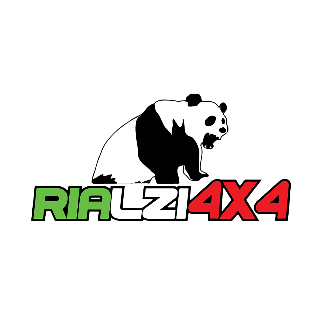 Bulloni eccentrici panda 141
