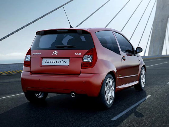 Coppia di ammortizzatori posteriori Citroen C2 2003-2010