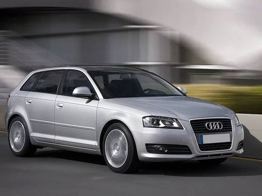 Ammortizzatori anteriori Audi A3 Quattro