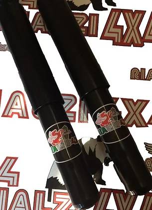 Ammortizzatori posteriori Autobianchi Y10