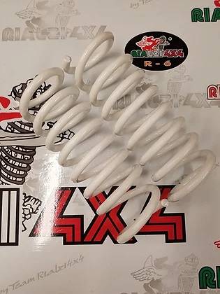 Kit molle posteriori rialzo 2 cm panda 4x4 impianto metano seconda serie da 2003