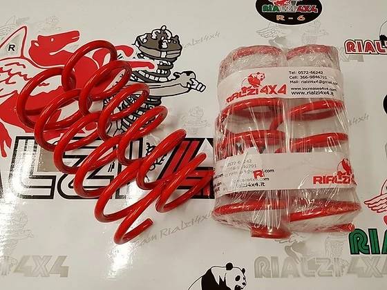 Molle posteriori sostitutive panda 2wd metano/gpl ultima serie da 2013