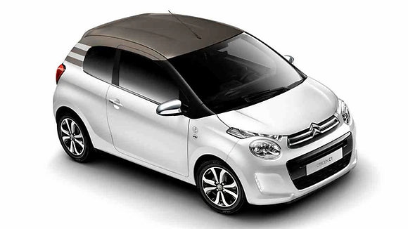 Par de amortiguadores delanteros Citroën 2014-2019