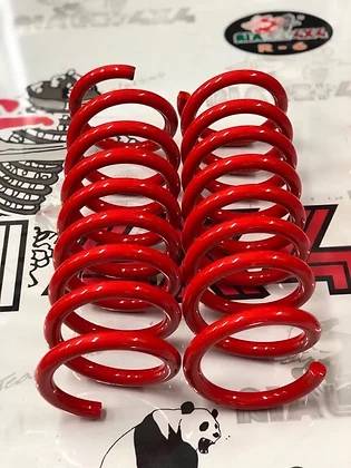 Molle posteriori panda cross ultima serie da 2013 rialzate 3 cm
